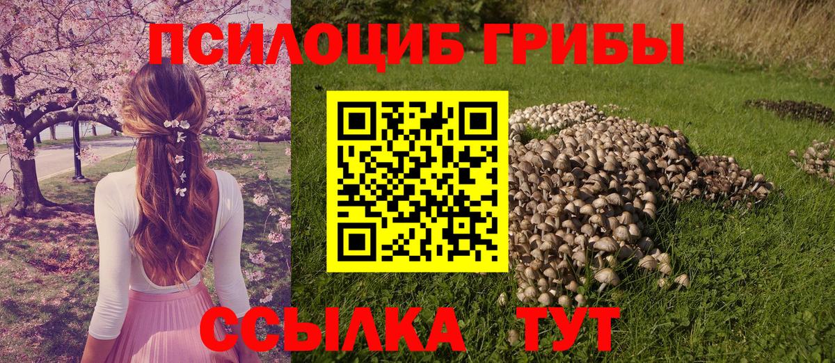 Галлюциногенные грибы прущие грибы  Вход с VPN  Карабулак 